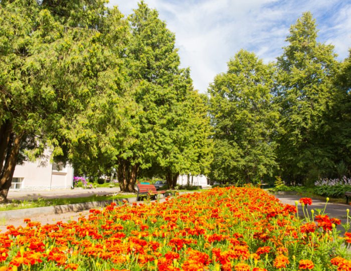 Внешний вид и территория - Санаторий «Литвиново»