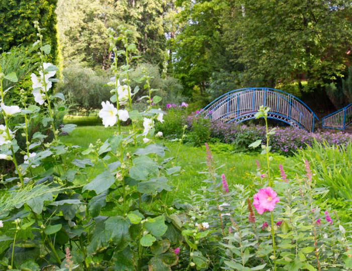 Внешний вид и территория - Санаторий «Литвиново»